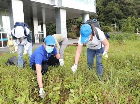 安進志願員工拔草